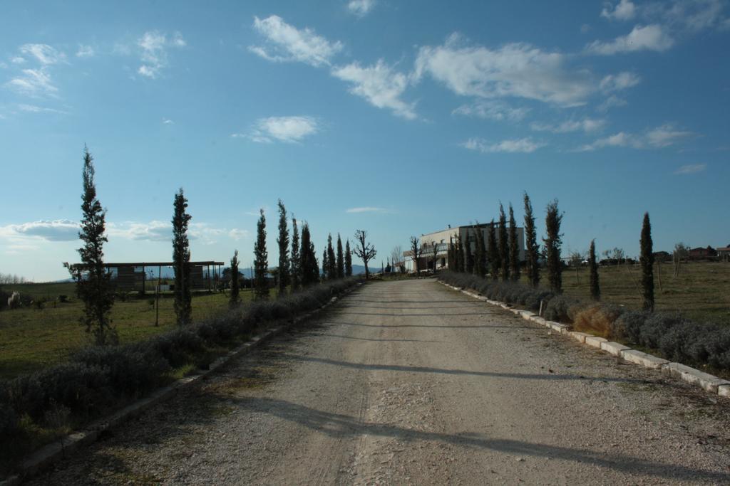 Agriturismo Terra Del Vento